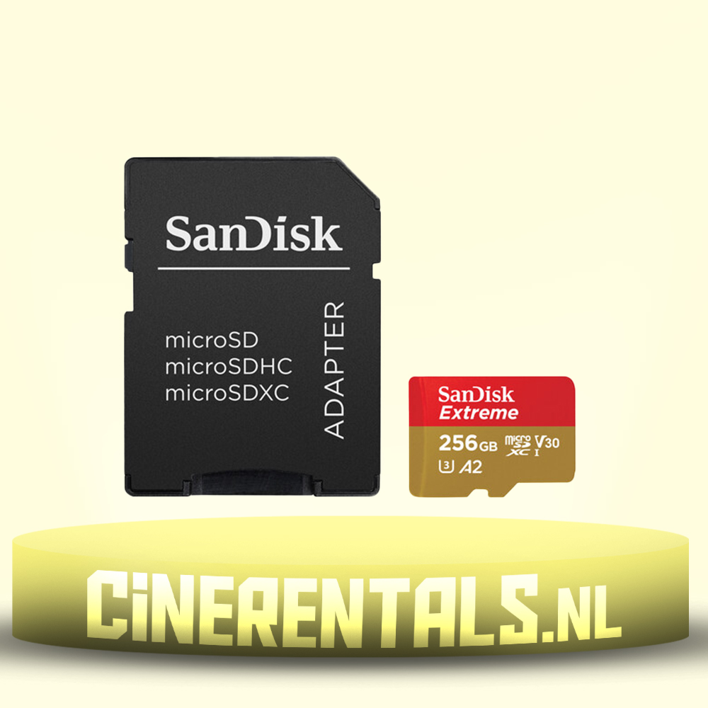 SanDisk 256GB microSD
