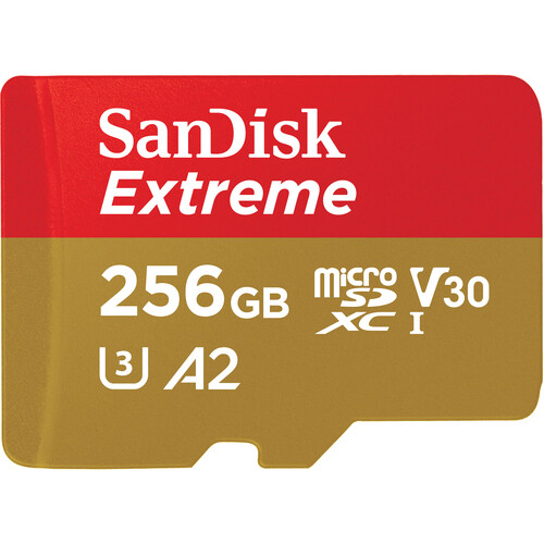 SanDisk 256GB microSD